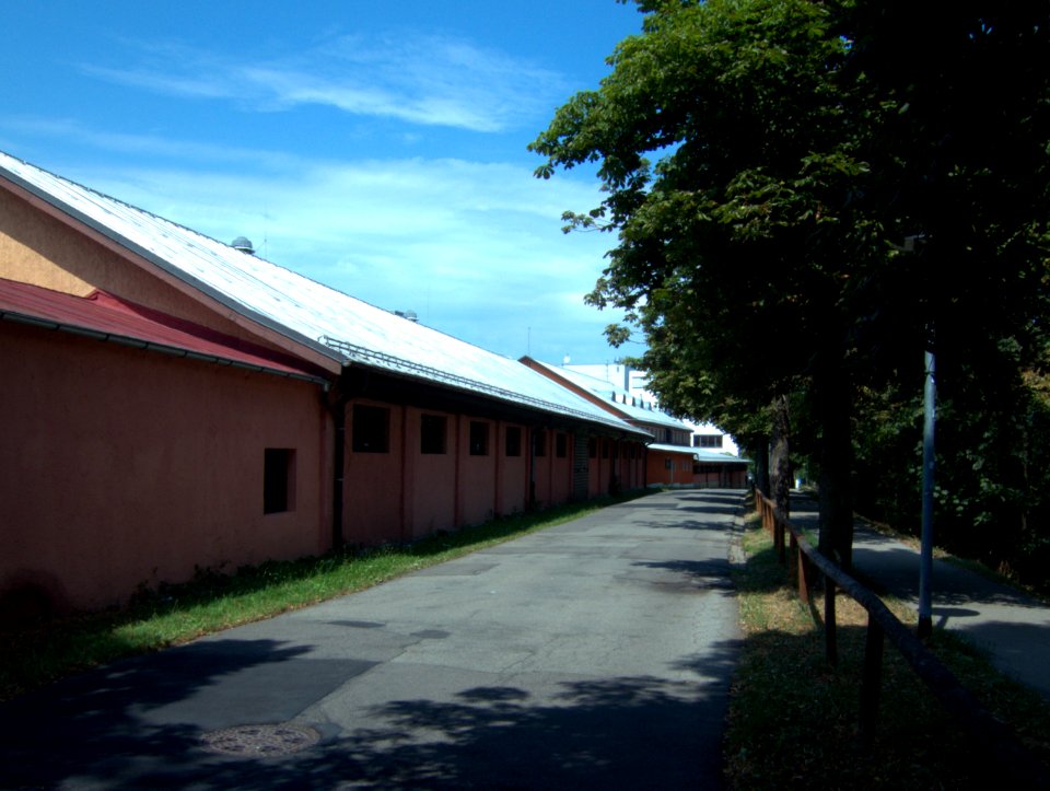 Allgäuhalle Boleite 01