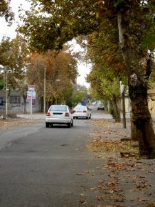 Alleys in autumn - Nishapur 13