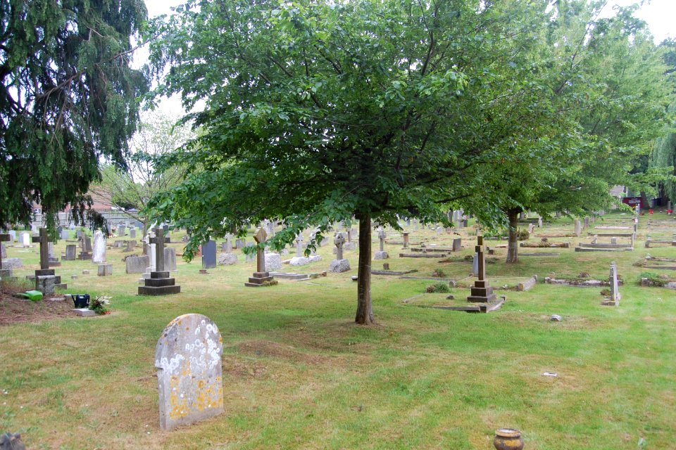 All Saints Church, High Street, Botley (May 2019) (Churchyard) (1)