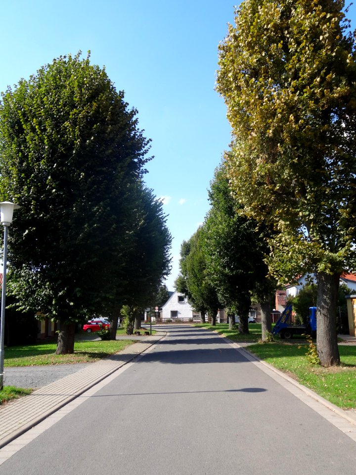 Alley Niedergebra