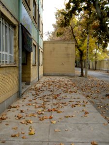 Alleys in autumn - Nishapur 24