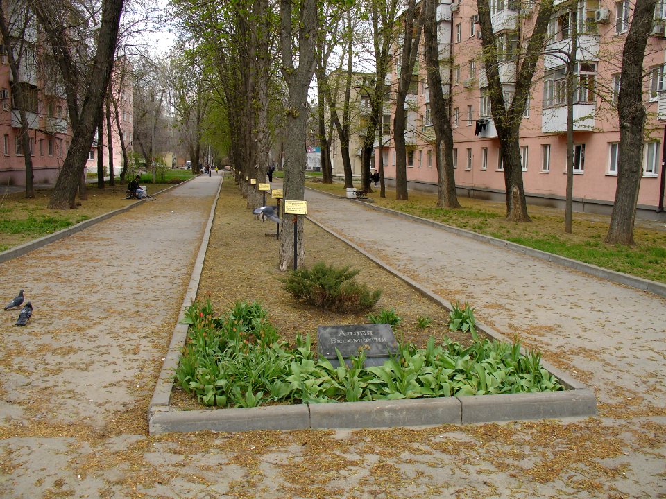 Alley of Immortality view