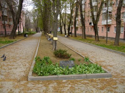 Alley of Immortality view