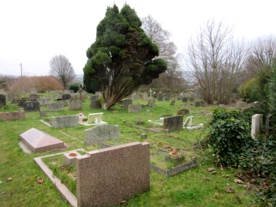 All Saints Church, Patcham (December 2016) (Churchyard)