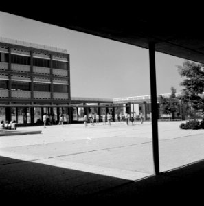 Alliance gymnasium. Meisjes zijn op het schoolplein aan het sporten, Bestanddeelnr 255-4690