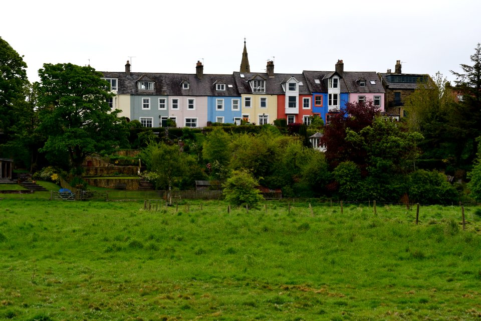 Alnmouth (2021-05-25) 07