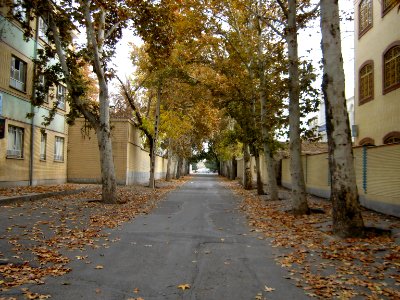 Alleys in autumn - Nishapur 20