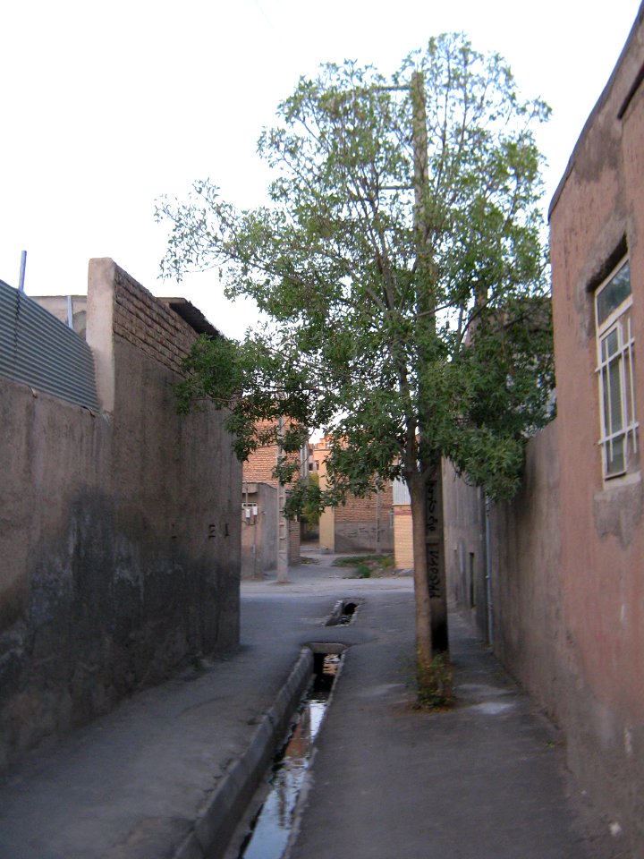 Alley in Qavvami st - Nishapur 4