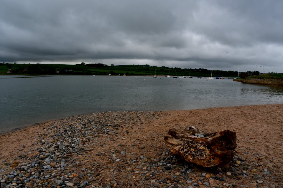 Alnmouth (2021-05-25) 15