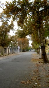 Alleys in autumn - Nishapur 10
