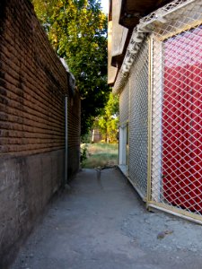 Alley to Amin eslami Park