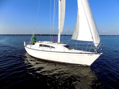 Aloha 30 sailboat Non Sequitur 1309
