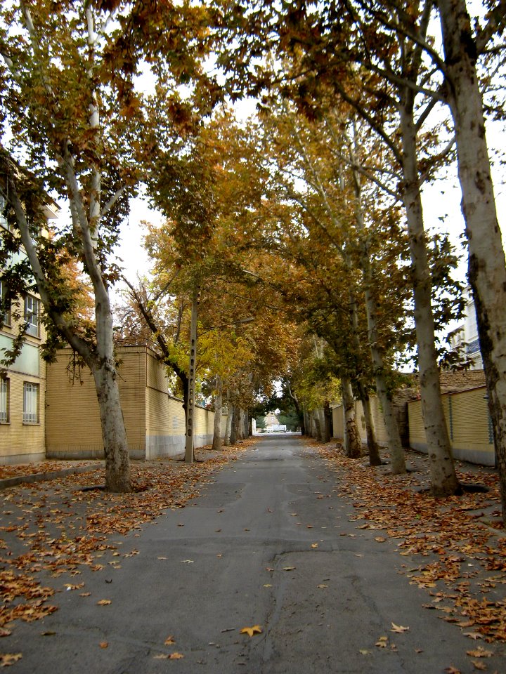Alleys in autumn - Nishapur 21