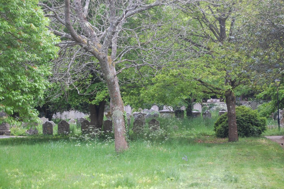 All Saints Church, Main Road, Hursley (NHLE Code 1095797) (May 2021) (Churchyard) (2)