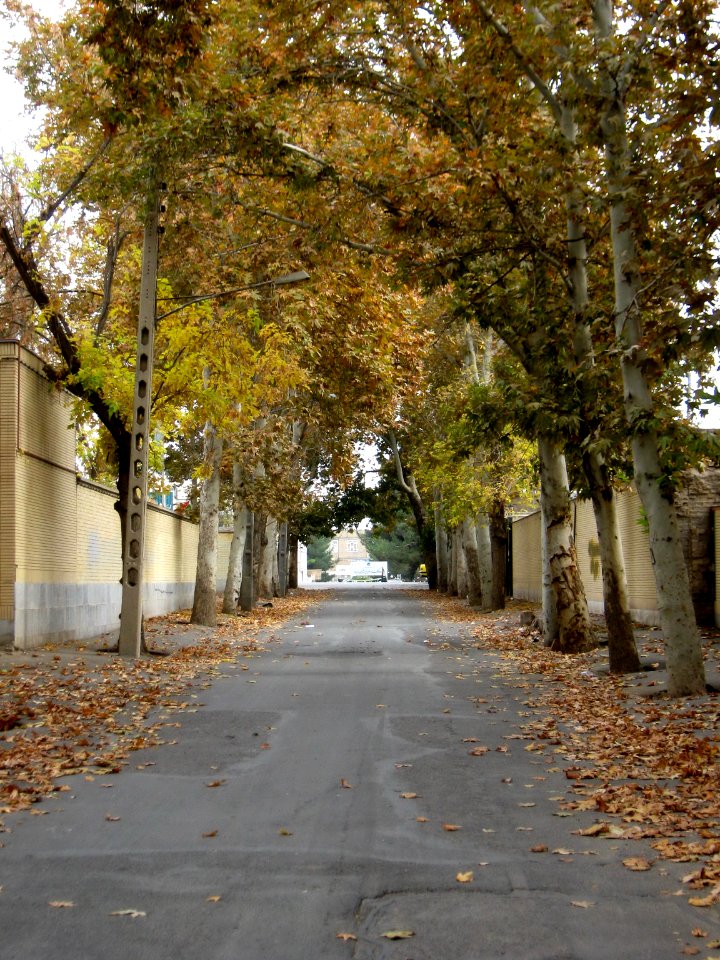 Alleys in autumn - Nishapur 23