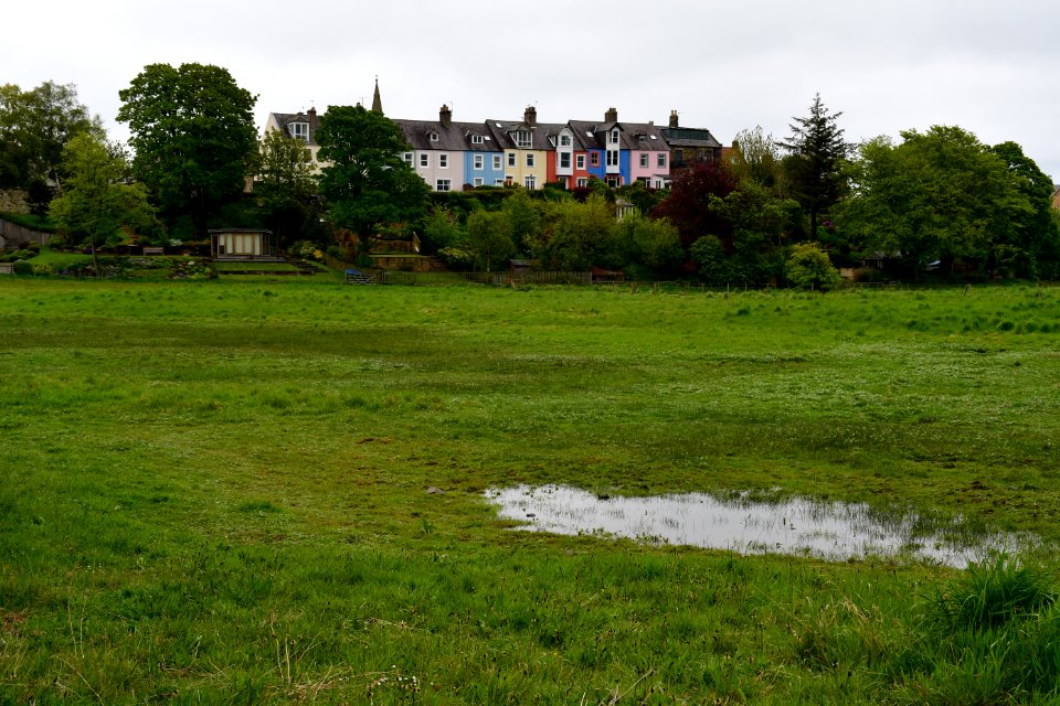 Alnmouth (2021-05-25) 05
