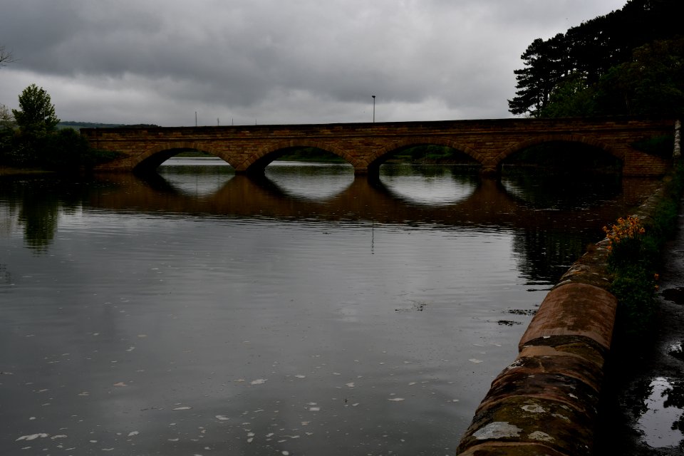 Alnmouth (2021-05-25) 03