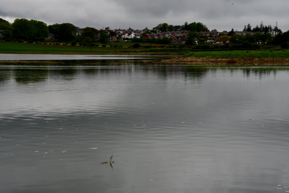 Alnmouth (2021-05-25) 04