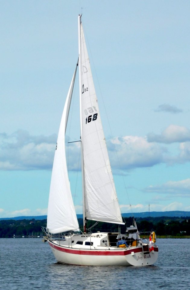 Aloha 8.2 sailboat Joy Ride 2637