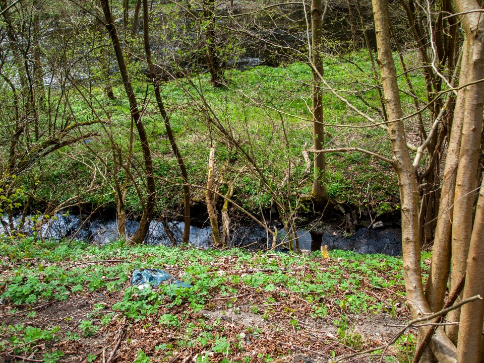 Altenbrak Mühlgraben Höhe StRitter 24