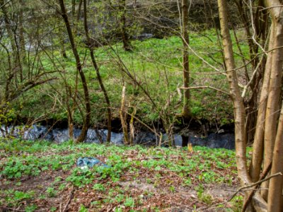 Altenbrak Mühlgraben Höhe StRitter 24