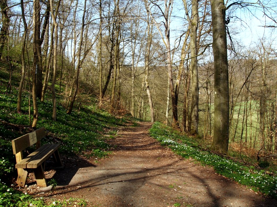 Altenbrak Naturlehrpfad (32)