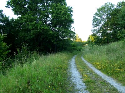 Altenbrak Neuer Weg (7)