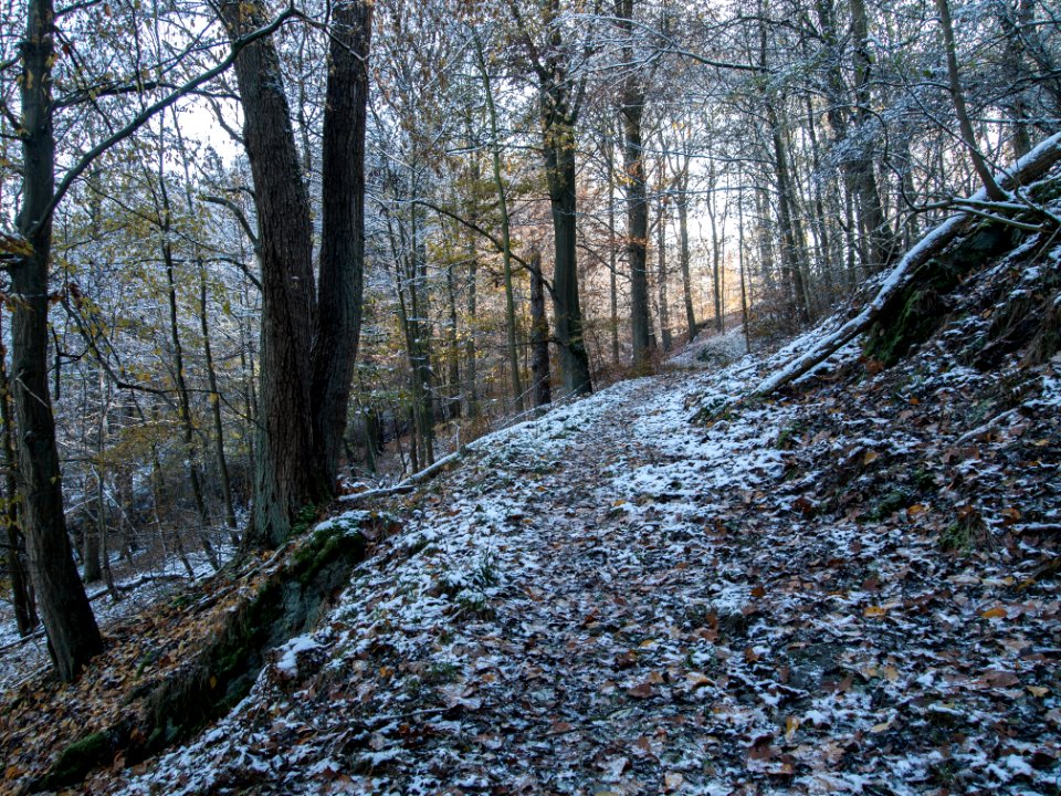 Altenbrak Naturlehrpfad (34)