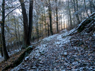 Altenbrak Naturlehrpfad (34)