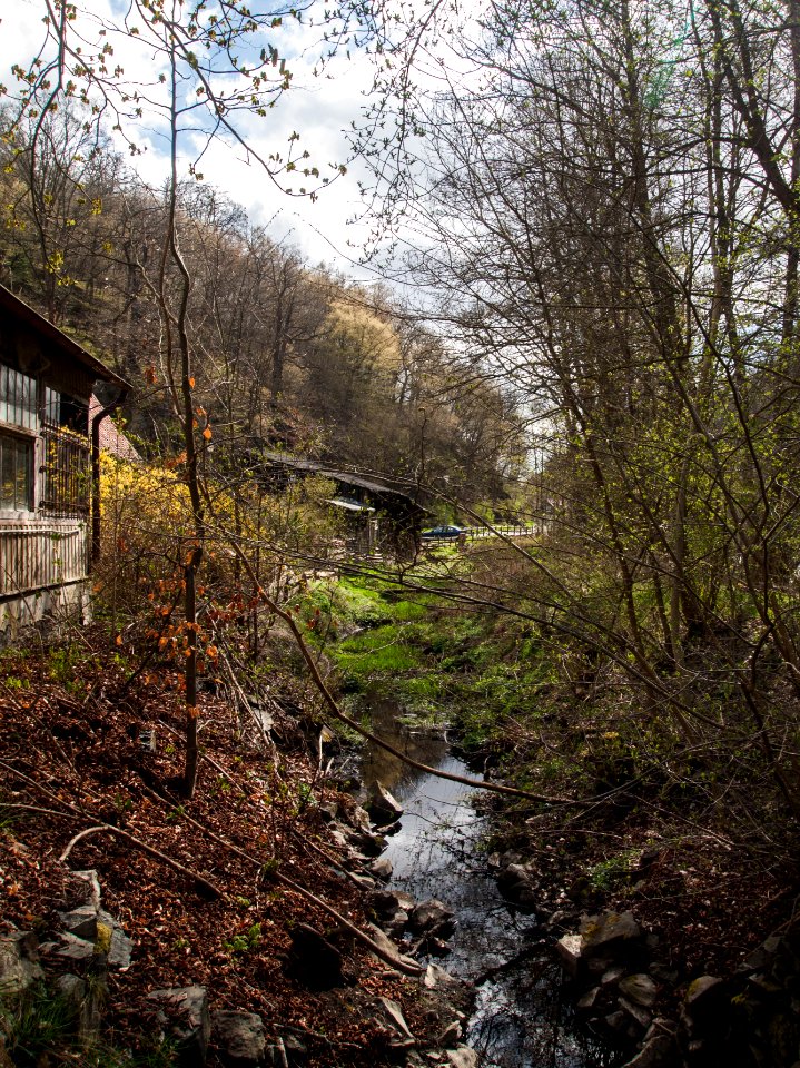 Altenbrak Mühlgraben Höhe Ludwigshütte 2
