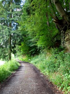 Altenbrak Bodeweg (4)