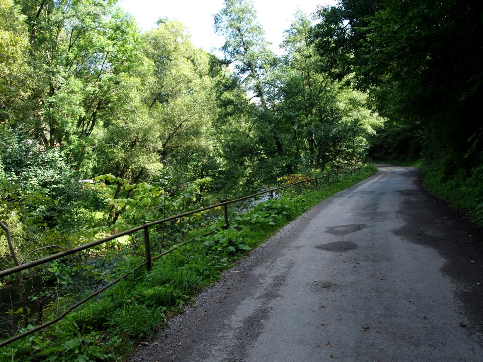 Altenbrak Bodeweg (5)