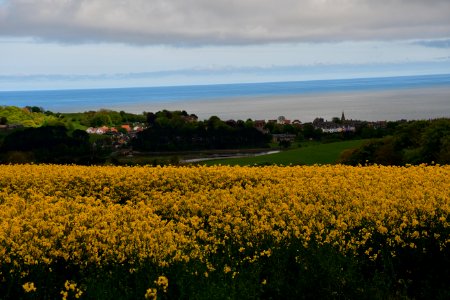 Alnmouth (2021-05-25) 27