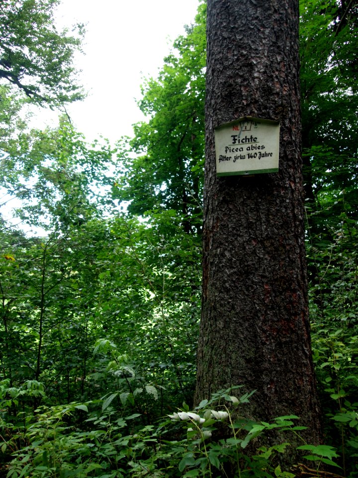Altenbrak Naturlehrpfad (7)