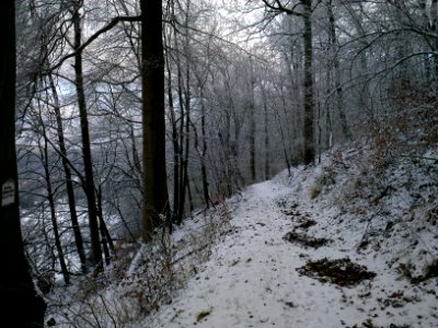 Altenbrak Naturlehrpfad (25)