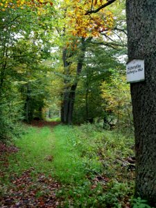 Altenbrak Naturlehrpfad (13)