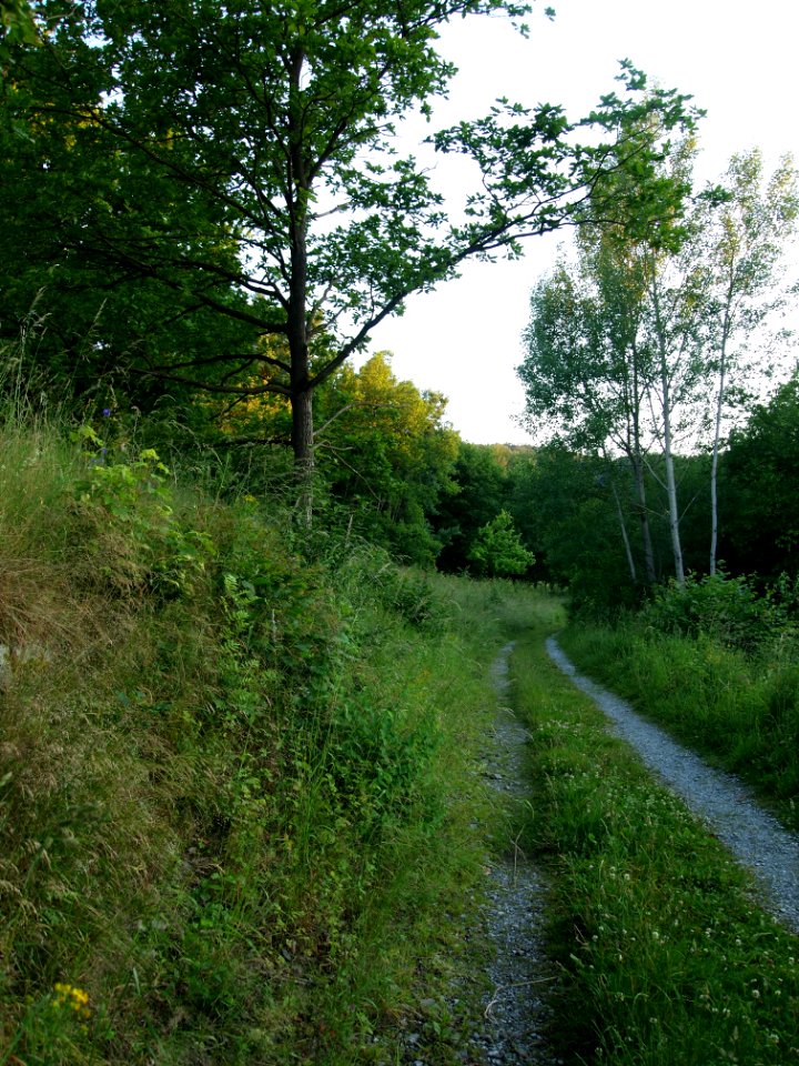 Altenbrak Neuer Weg (10)