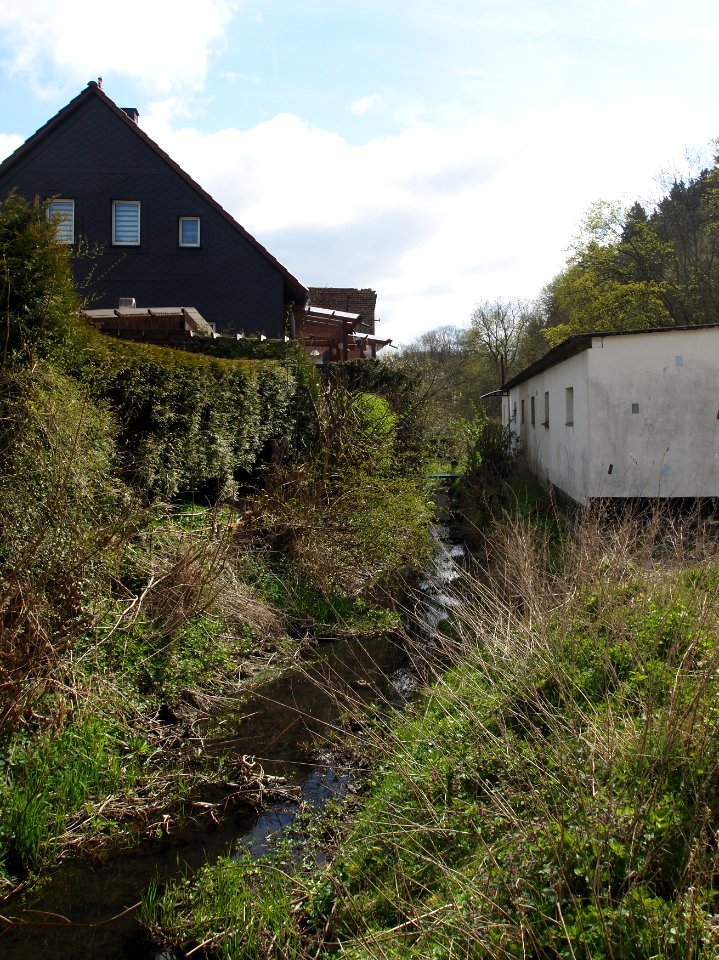 Altenbrak Mühlgraben Höhe StRitter 9