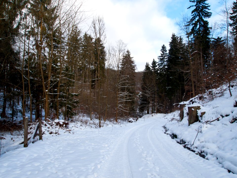 Altenbrak Kleines Mühlental (9)