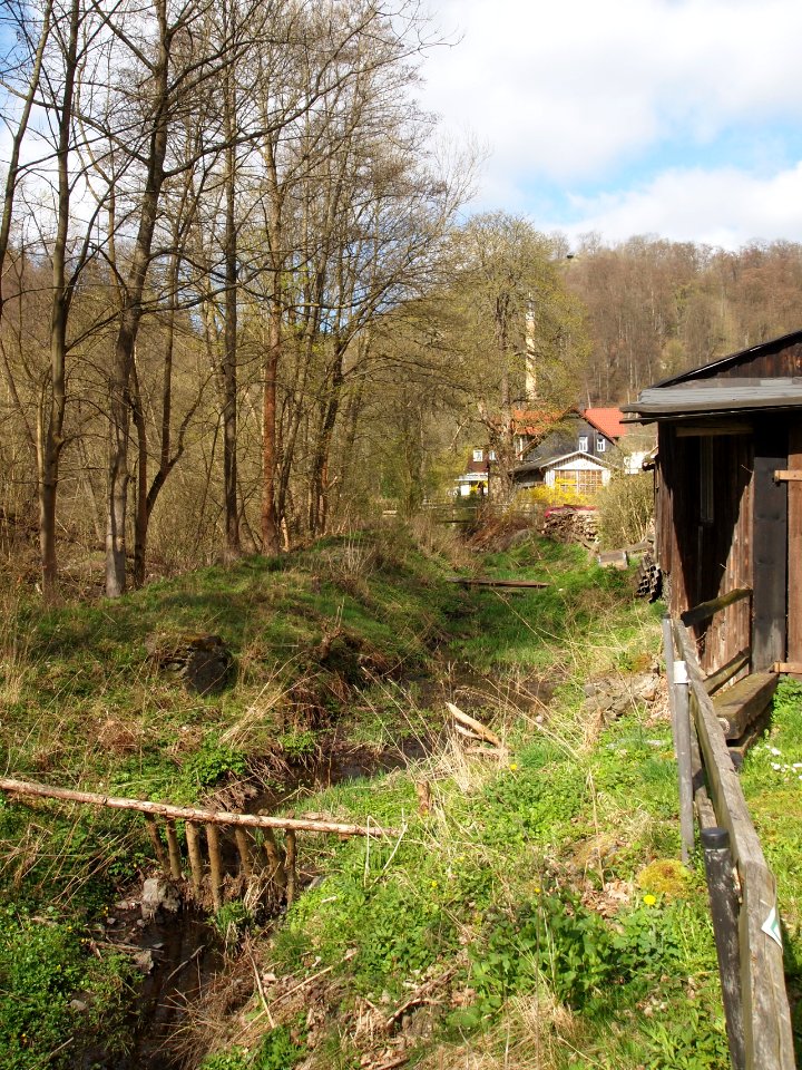 Altenbrak Mühlgraben Höhe Ludwigshütte 3