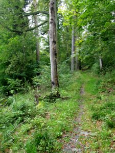 Altenbrak Naturlehrpfad (5)