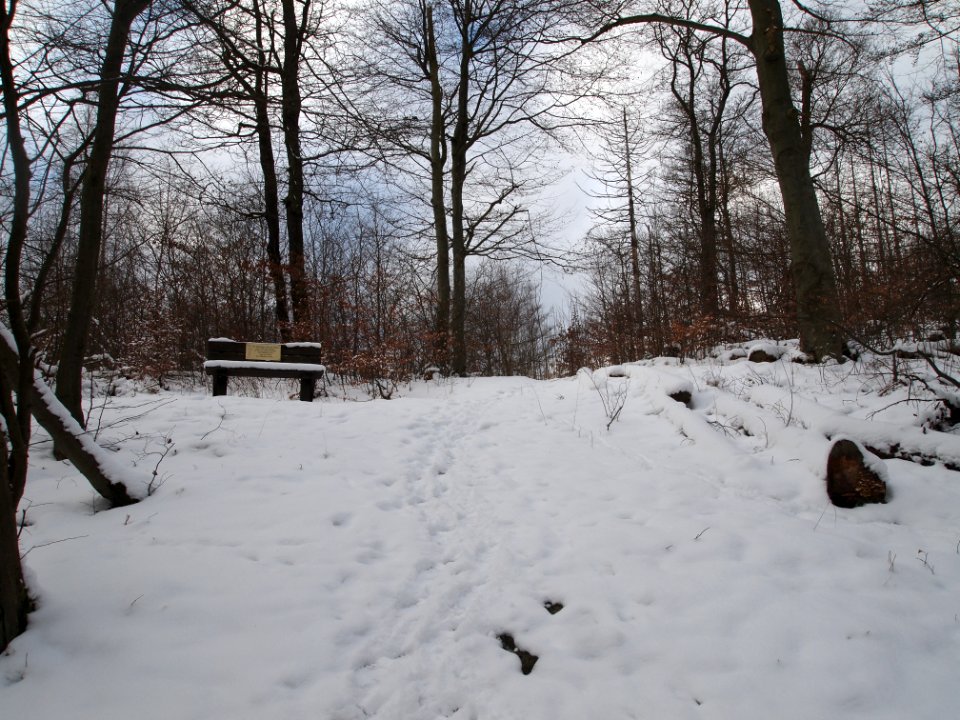 Altenbrak Naturlehrpfad (30)