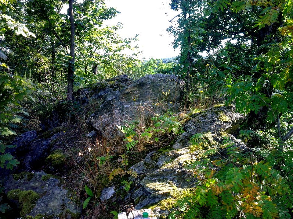 Altenbrak Kuckucksklippe