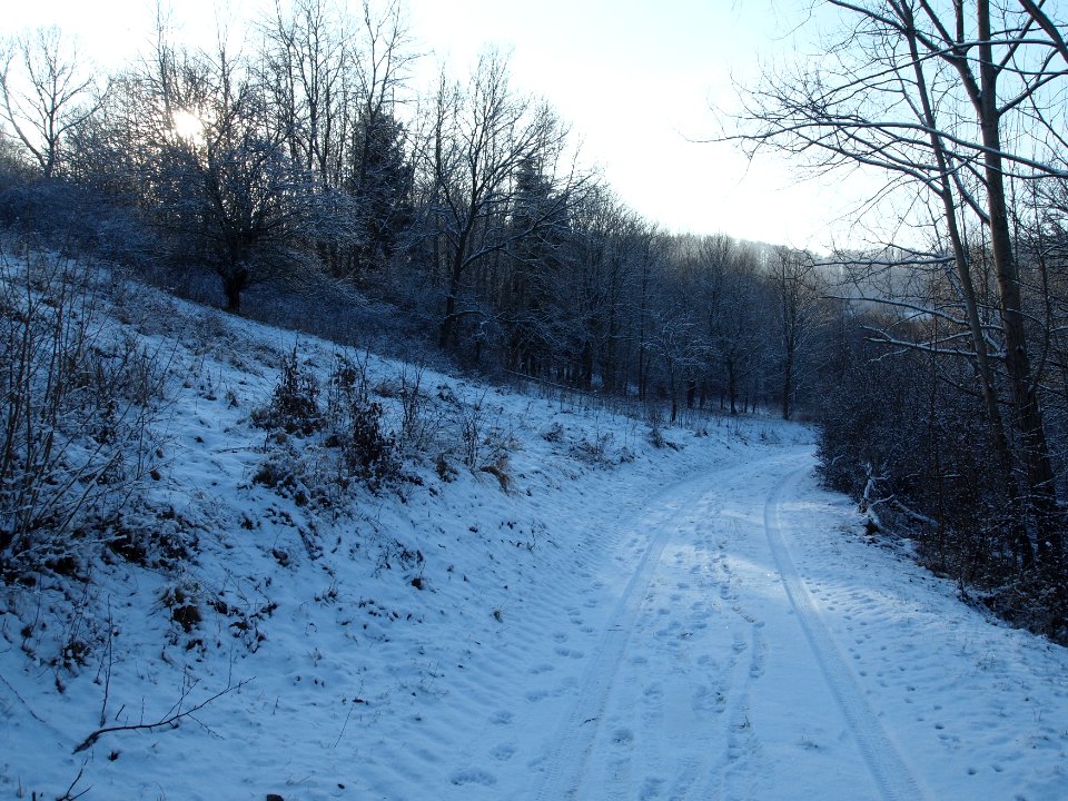 Altenbrak Neuer Weg (17)