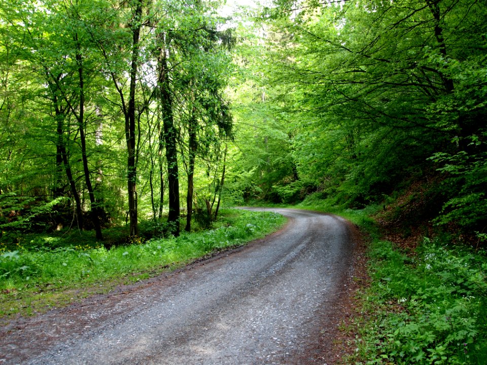 Altenbrak Kleines Mühlental (4)