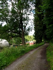 Altenbrak Bodeweg (2)