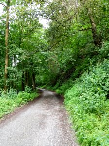Altenbrak Bodeweg (3)