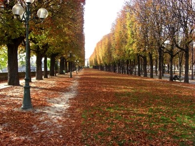Alley along the Seine Cours Albert 1er