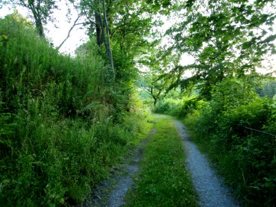 Altenbrak Neuer Weg (13)