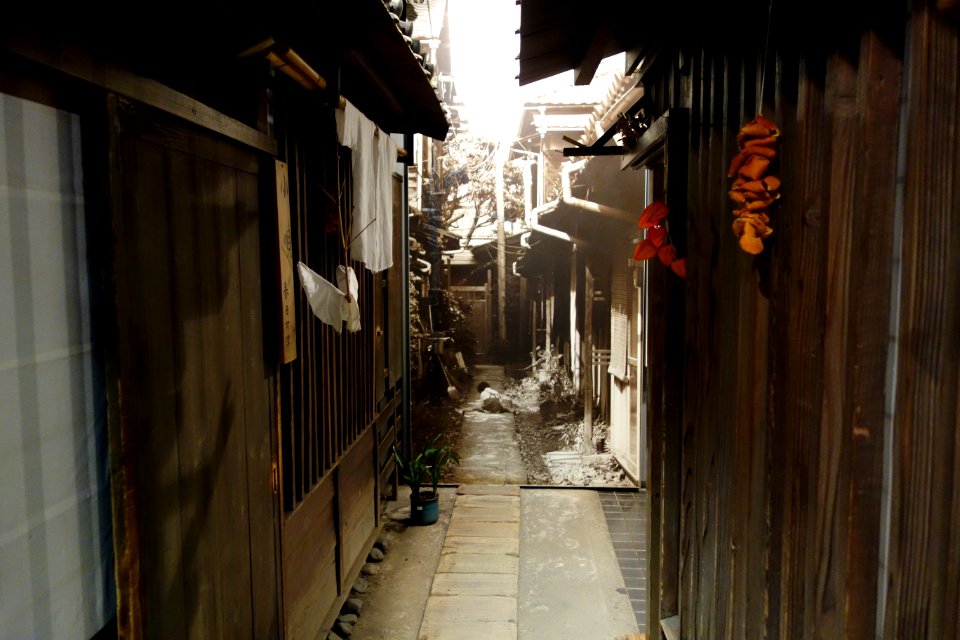 Alley - Shitamachi Museum- Ueno, Taito, Tokyo, Japan - DSC08717
